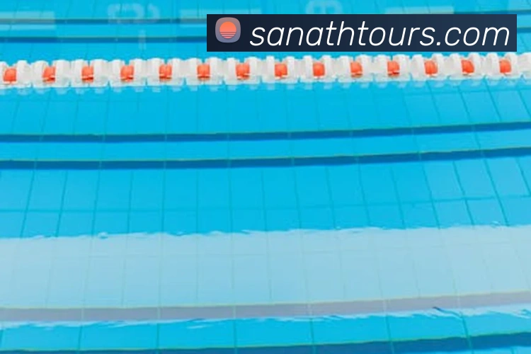 赛事专题整合